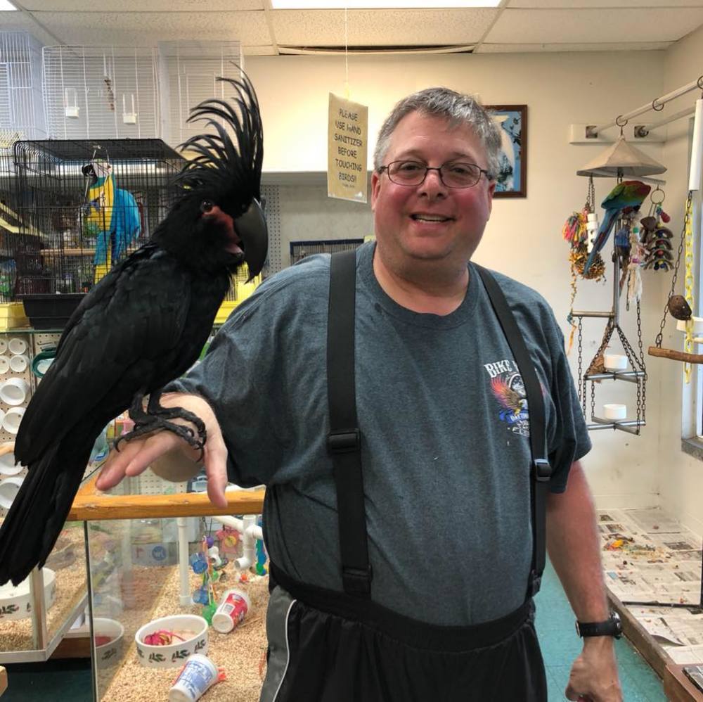 Meet your Posher, Vince